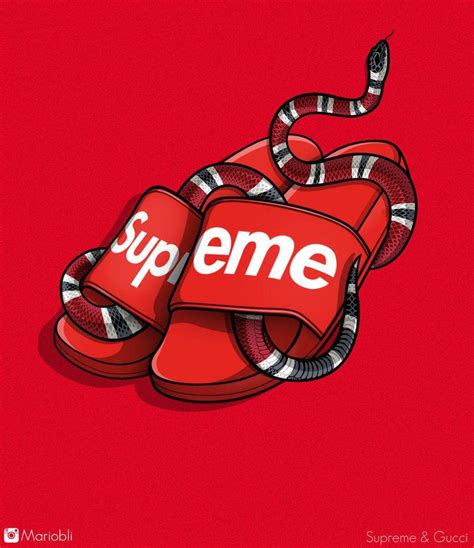 supreme x gucci wallpaper|[100+] Supreme Gucci Wallpapers .